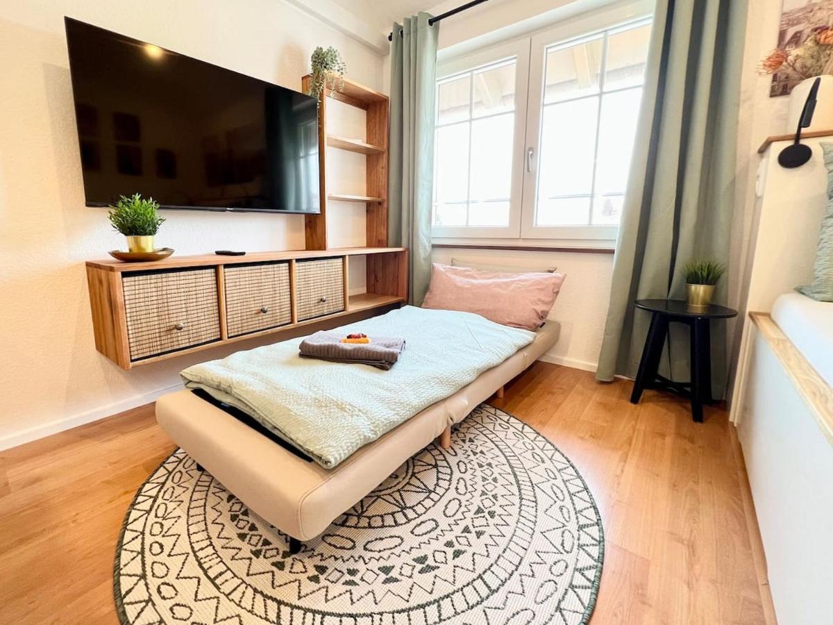 Stilvolles Mikroapartment In Kehl Goldscheuer - 1A Guesthouse Dış mekan fotoğraf